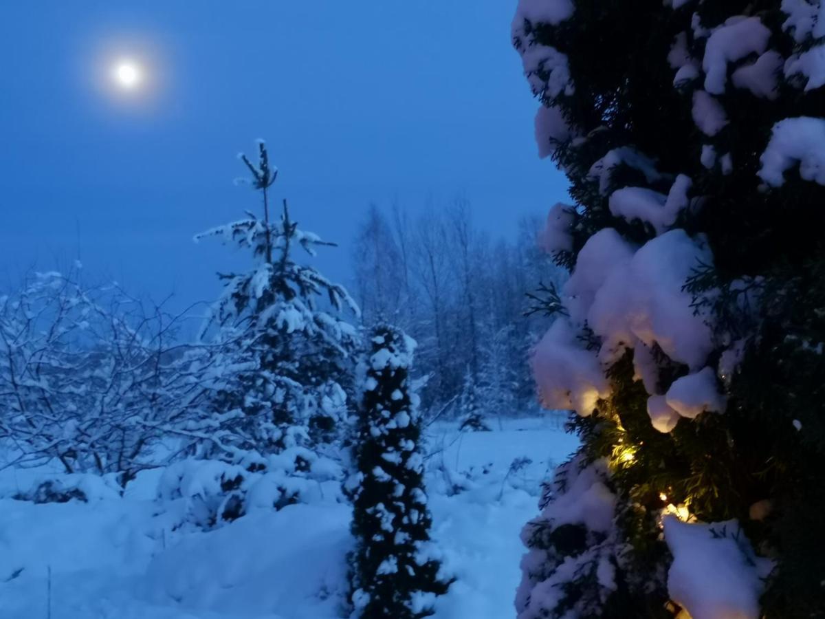 Vila Dvinumajas Balvi Exteriér fotografie
