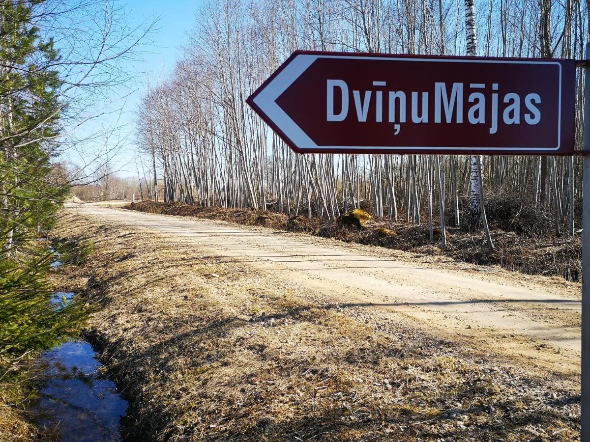 Vila Dvinumajas Balvi Exteriér fotografie