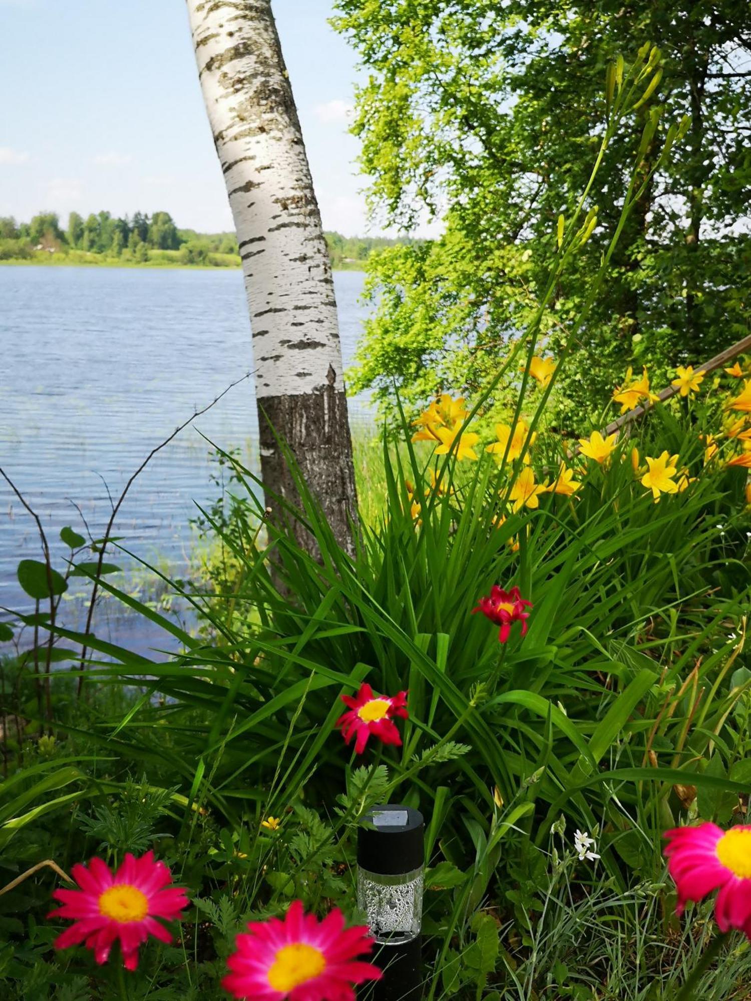 Vila Dvinumajas Balvi Exteriér fotografie