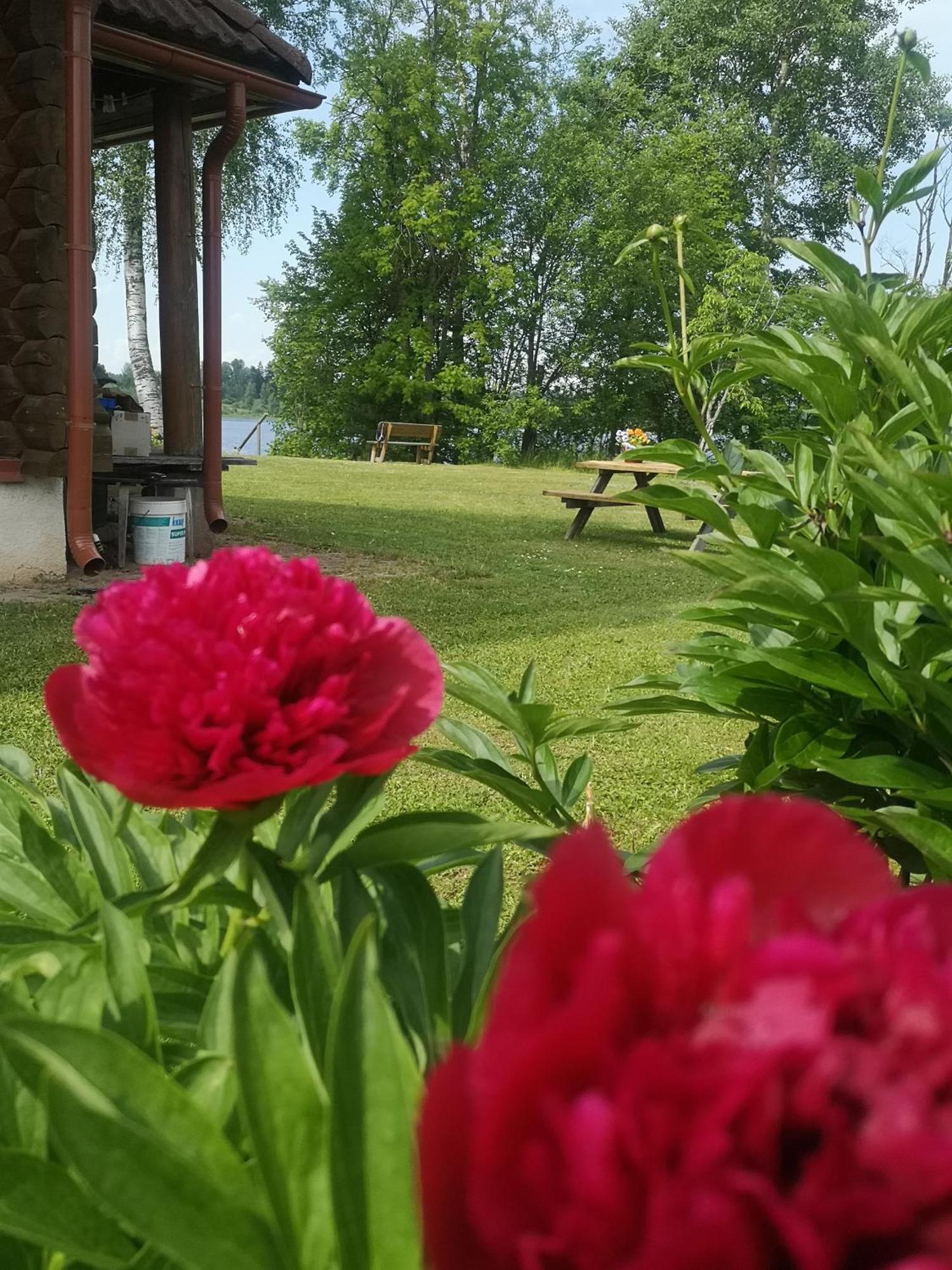 Vila Dvinumajas Balvi Exteriér fotografie